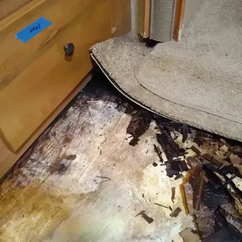 Wood Floor Water Damage in Warren County, GA